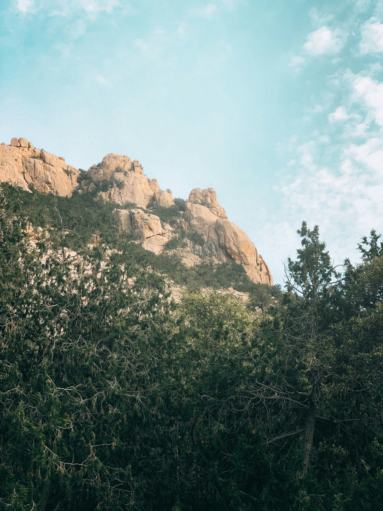 ahmad-fouad-vNcEHR6rctk-unsplash