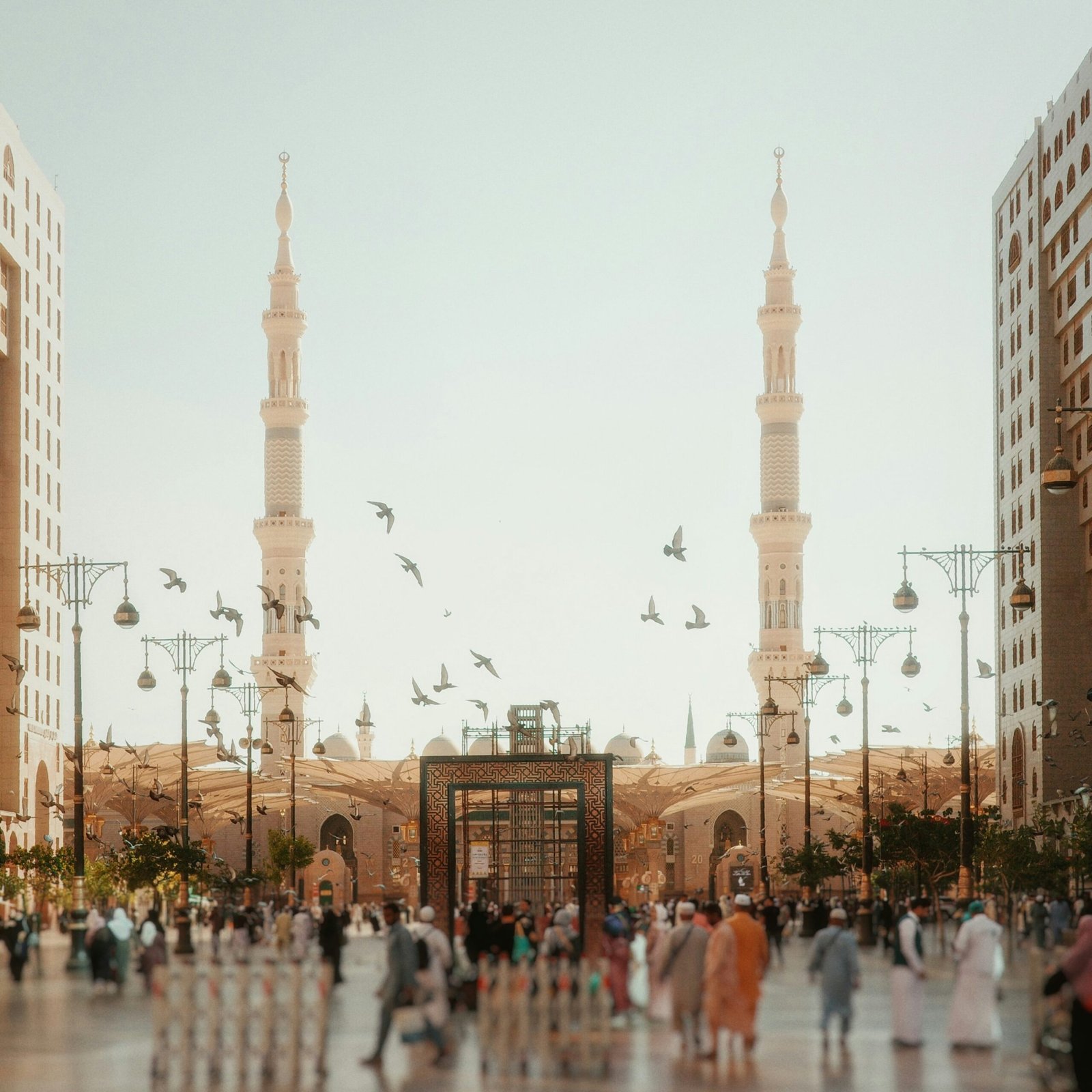 mohammed-shonar-iQ_cOTlR7wo-unsplash