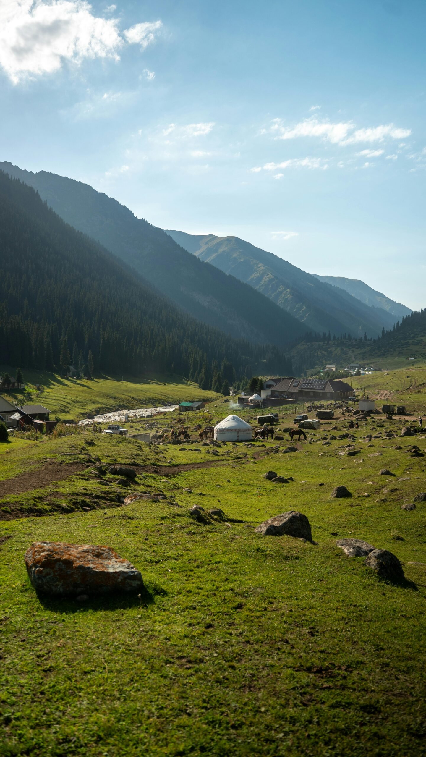 pexels-musab-s-2148539216-33674541